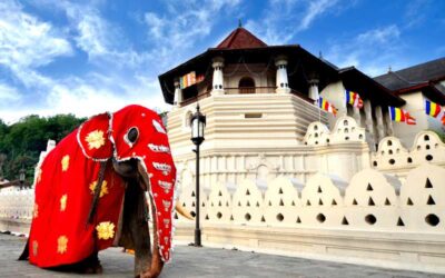 ΣΡΙ ΛΑΝΚΑ: Νταμπούλα – Κολόμπο